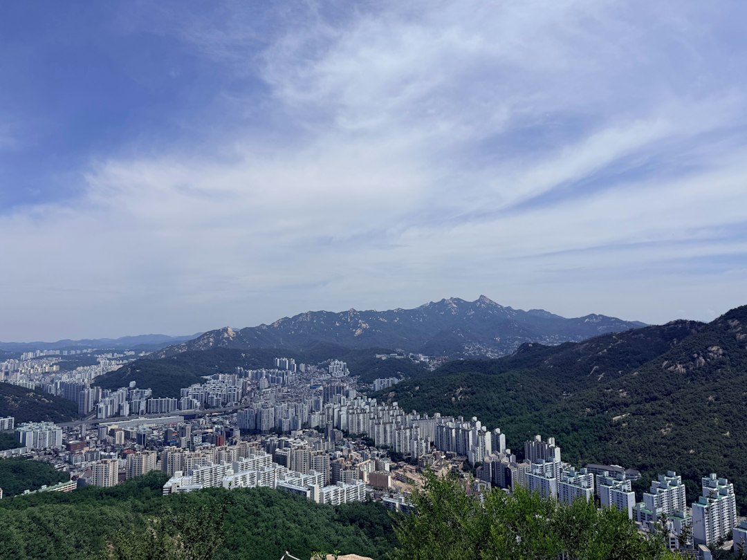 출산후다이어트 참고 이미지 2