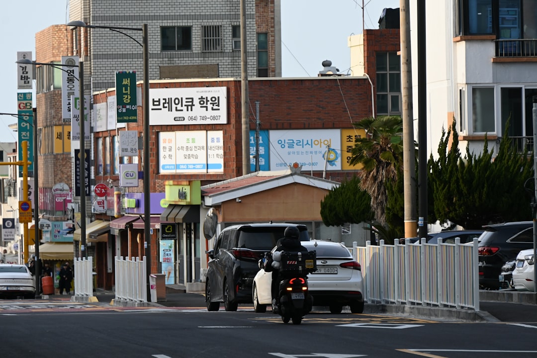 취업포트폴리오 참고 이미지 2