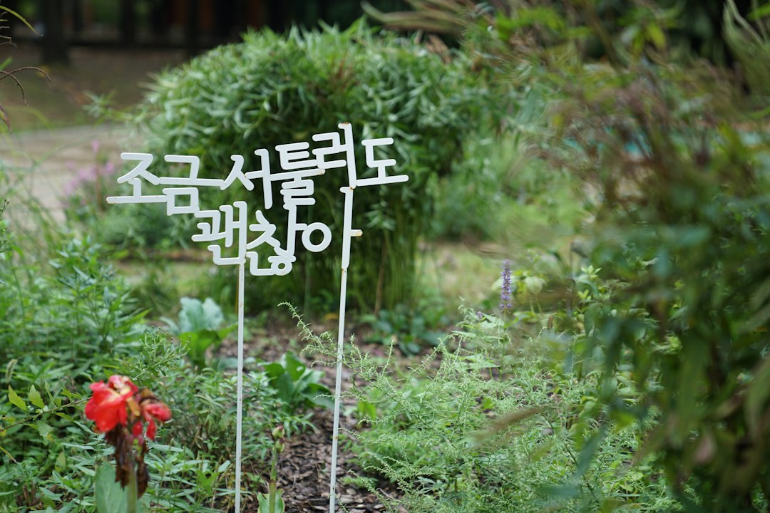 화장품종류 참고 이미지 2